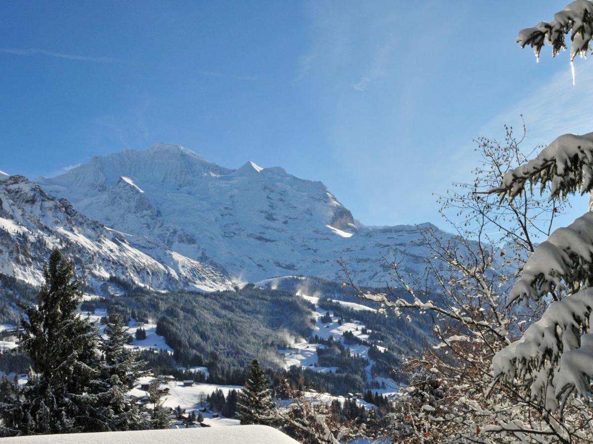 Apartment Tschingelhorn By Interhome Wengen Exteriör bild